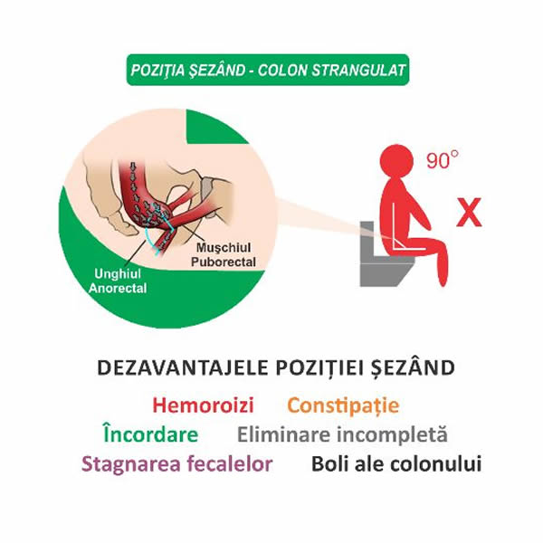 Taburet fiziologic pliabil pentru toaleta