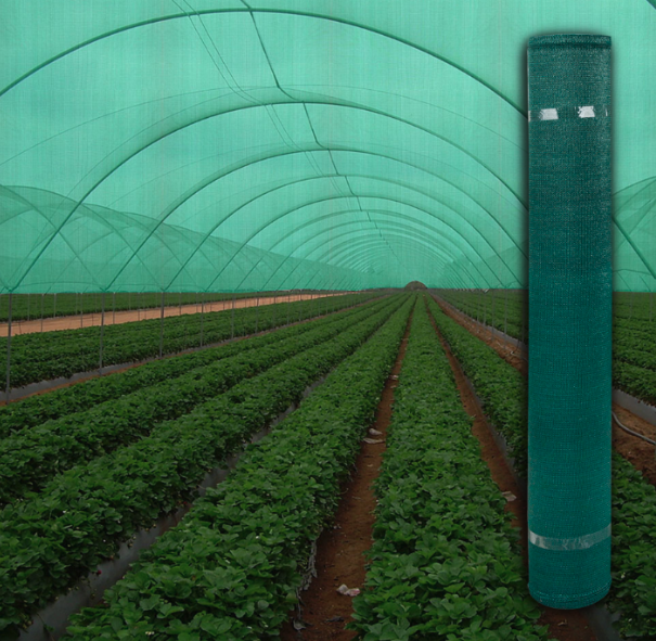 Plasa verde umbrire, 8 M inaltime + Cadou 50 coliere, Opacitate 40%