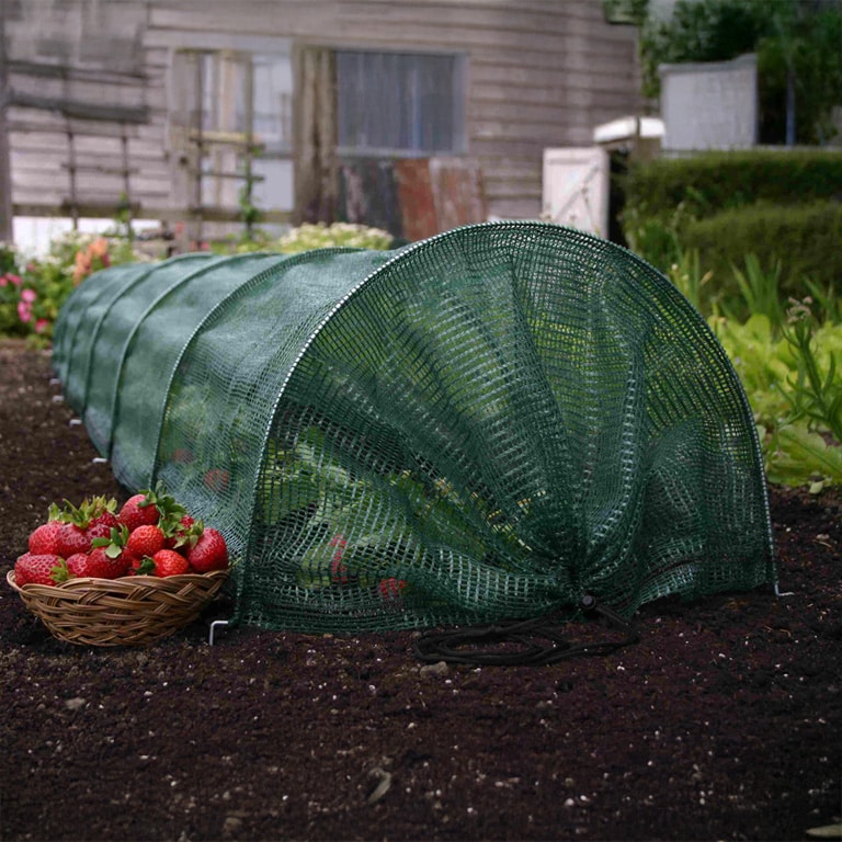 Set 10 x Tunel protectie plante 300x45 cm