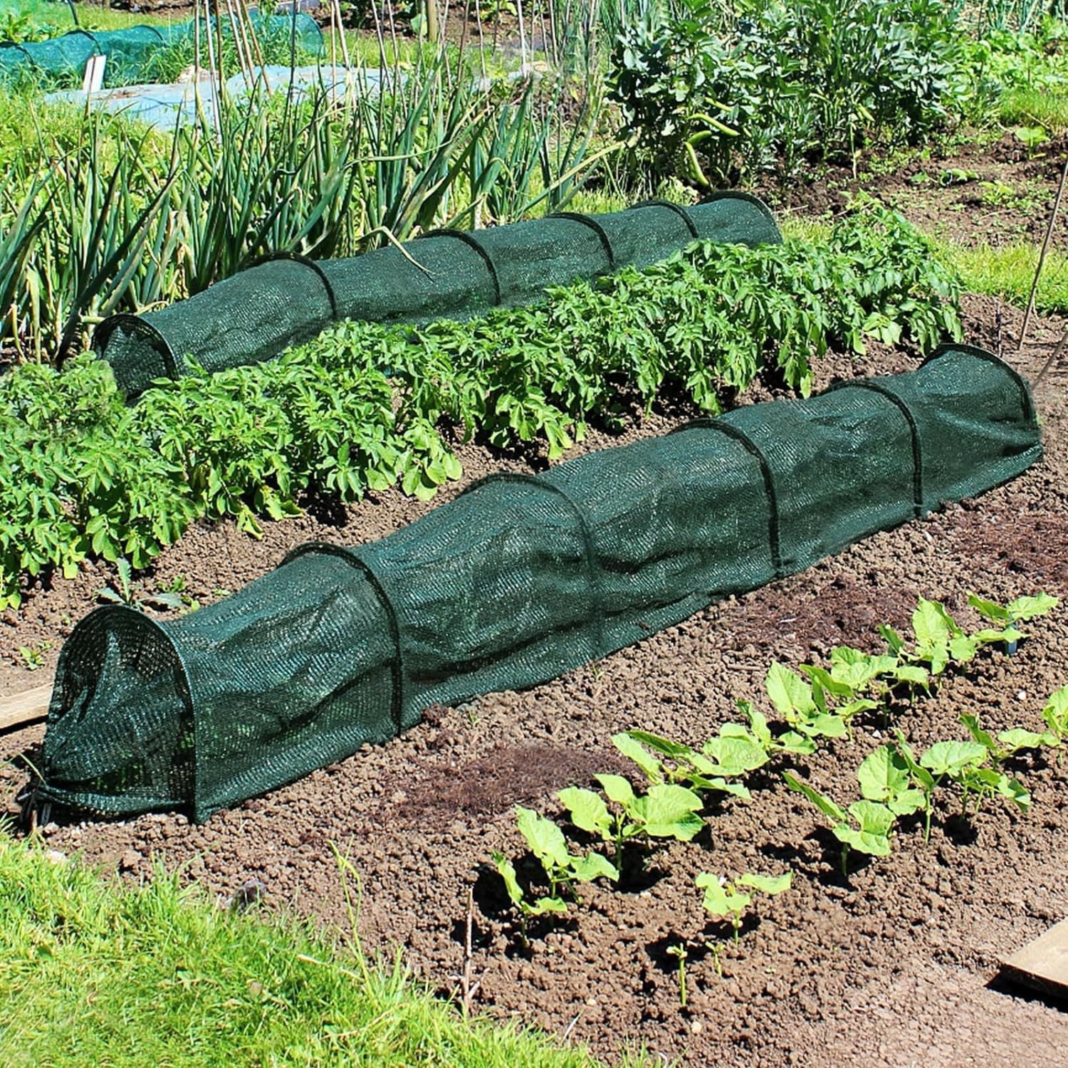 Set 10 x Tunel protectie plante 300x45 cm