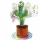 Jucarie de plus - Cactus dansator