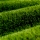 Gazon artificial cu aspect de iarba verde 1 x 2 Metri