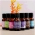 Set 12 uleiuri aromaterapie, 12 x 10 ml