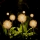 Set 2 x Lampa solara LED, Bulb Flower