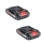 Set 2 x Acumulator 48V, model universal