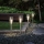 Set 4 x Lampa solara, Argintiu, 34.8 cm