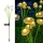 Set 2 x lampa solara 6 LED Jellyfish, Alb cald
