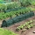 Set 5 x Tunel protectie plante 300x45 cm