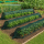 Set 10 x Tunel protectie plante 300x45 cm