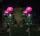 Set 2 x Lampa solara Trandafir Roz, 3 flori LED