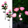 Set 2 x Lampa solara Trandafir Roz, 3 flori LED
