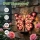 Lampa solara Butterfly, decoratiune metalica